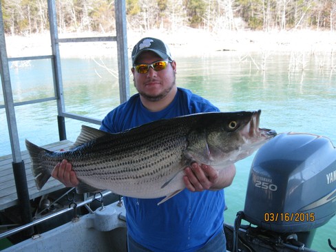 Nice Striped Bass